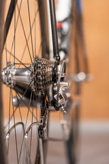 Colnago Extreme von Sprinter A. Petacchi