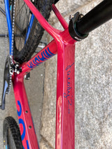 2020 MASHA DISC FRAMESET UND KOMPLETTVELO