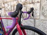 2020 MASHA DISC FRAMESET UND KOMPLETTVELO