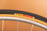 Bianchi Champion del Mondo Grösse 56