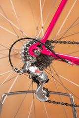 Eddy Merckx Corsa Extra Spezialaufbau für Profi Wegmüller