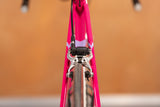 Eddy Merckx Corsa Extra Spezialaufbau für Profi Wegmüller