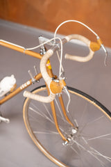 Itca Rennvelo Grösse 55 von Bruno Wolfer