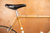 Itca Rennvelo Grösse 55 von Bruno Wolfer