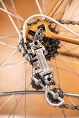 Itca Rennvelo Grösse 55 von Bruno Wolfer