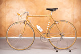 Itca Rennvelo Grösse 55 von Bruno Wolfer