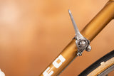 Itca Rennvelo Grösse 55 von Bruno Wolfer