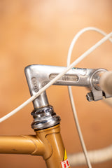 Itca Rennvelo Grösse 55 von Bruno Wolfer