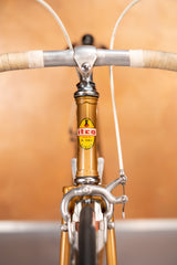 Itca Rennvelo Grösse 55 von Bruno Wolfer