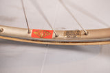 Itca Rennvelo Grösse 55 von Bruno Wolfer