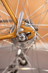 Itca Rennvelo Grösse 55 von Bruno Wolfer